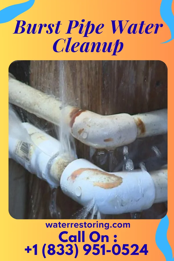Burst Pipe Water Cleanup in Robinwood, MD