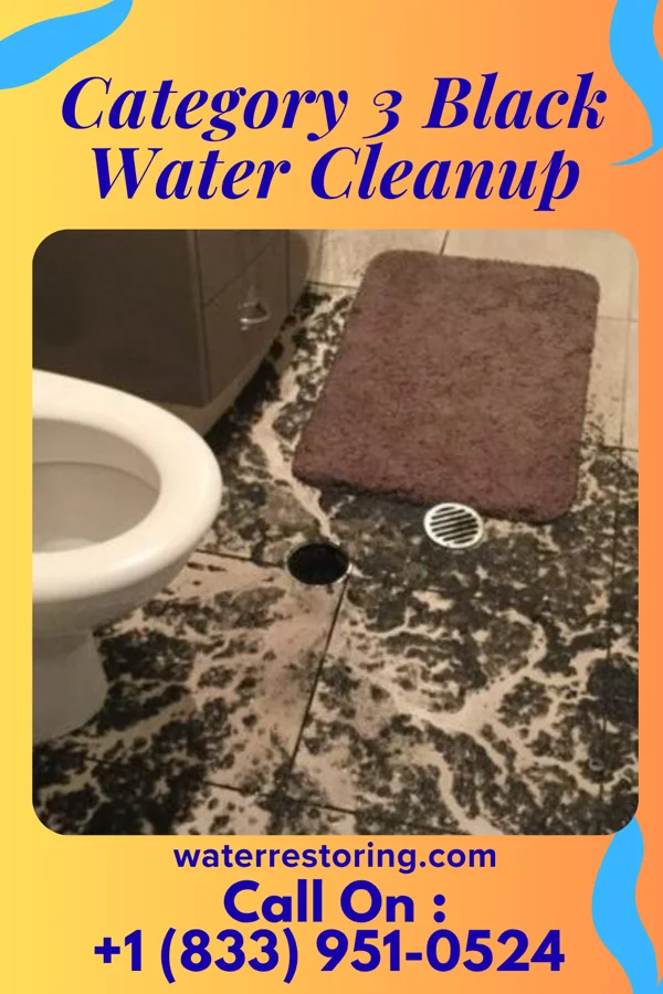 Category 3 Black Water Cleanup in Robinwood, MD