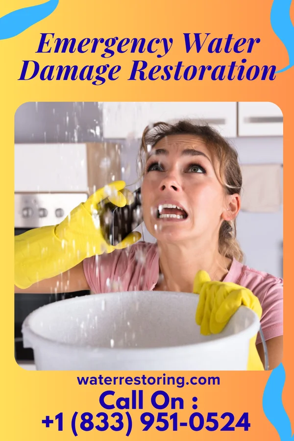 Emergency Water Damage Restoration in Robinwood, MD