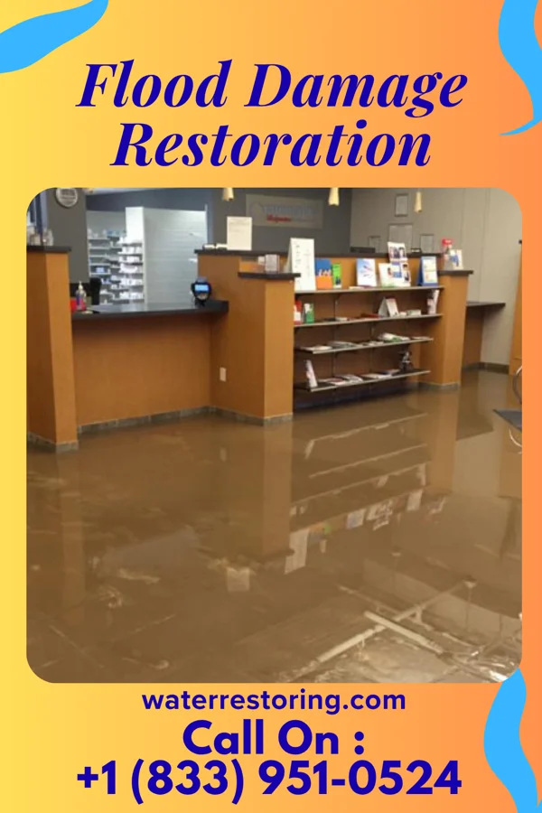 Flood Damage Restoration in Robinwood, MD