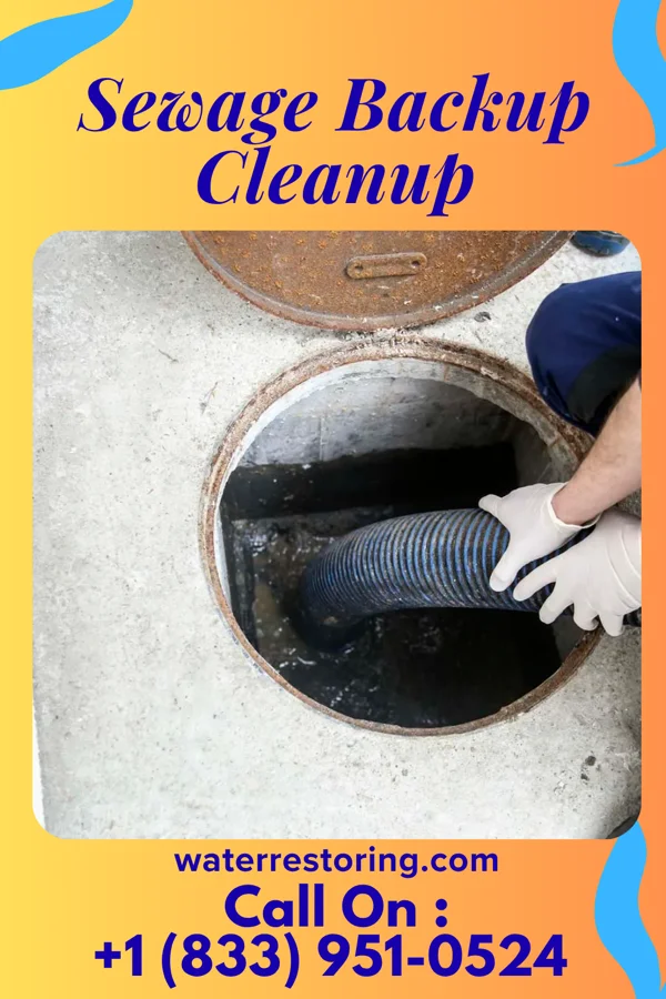 Sewage Backup Cleanup in Robinwood, MD