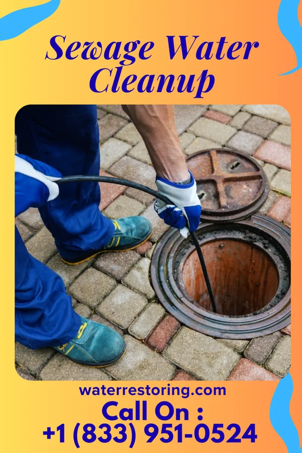 Sewage Water Cleanup in Robinwood, MD